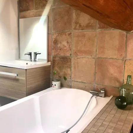 Toulousaine De Charme Pres Toulouse فيلة