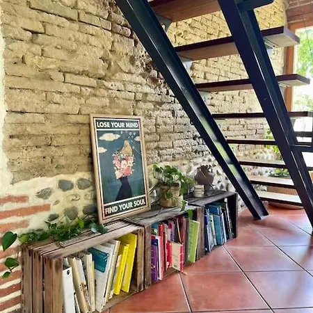 Toulousaine De Charme Pres Toulouse فيلة *