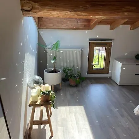 فيلة Toulousaine De Charme Pres Toulouse