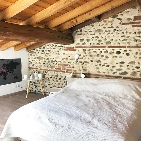 Toulousaine De Charme Pres Toulouse